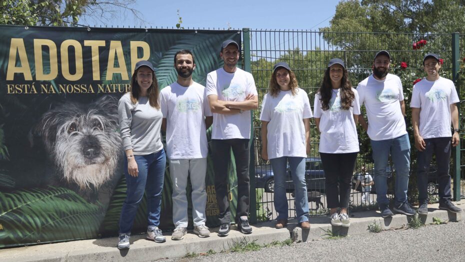 Voluntariado na Casa dos Animais de Lisboa