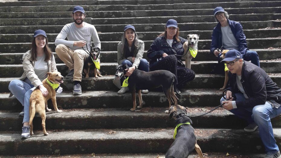 Voluntariado no Centro de Recolha Oficial de Matosinhos